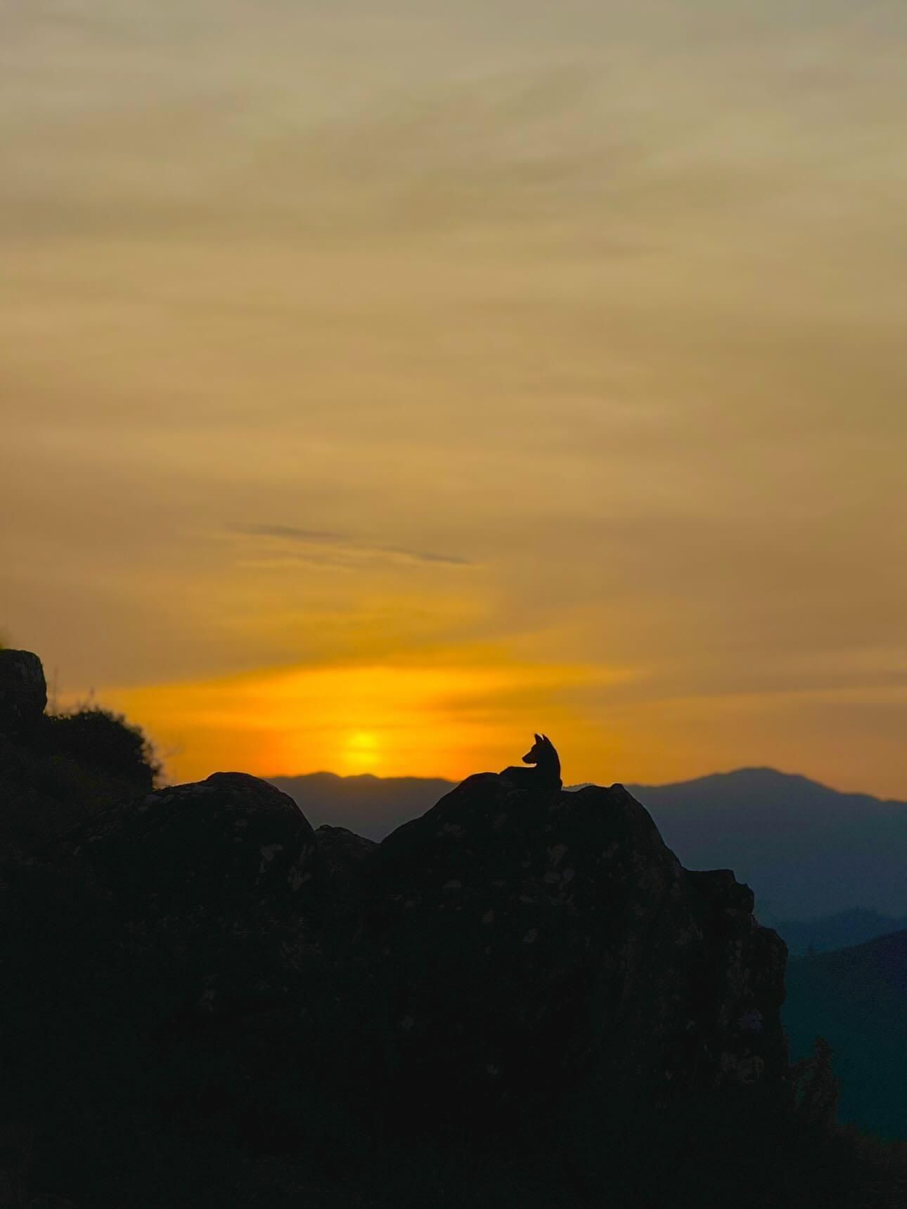 Munnar Adventure Package – 3 Nights & 4 Days in Munnar, Kerala