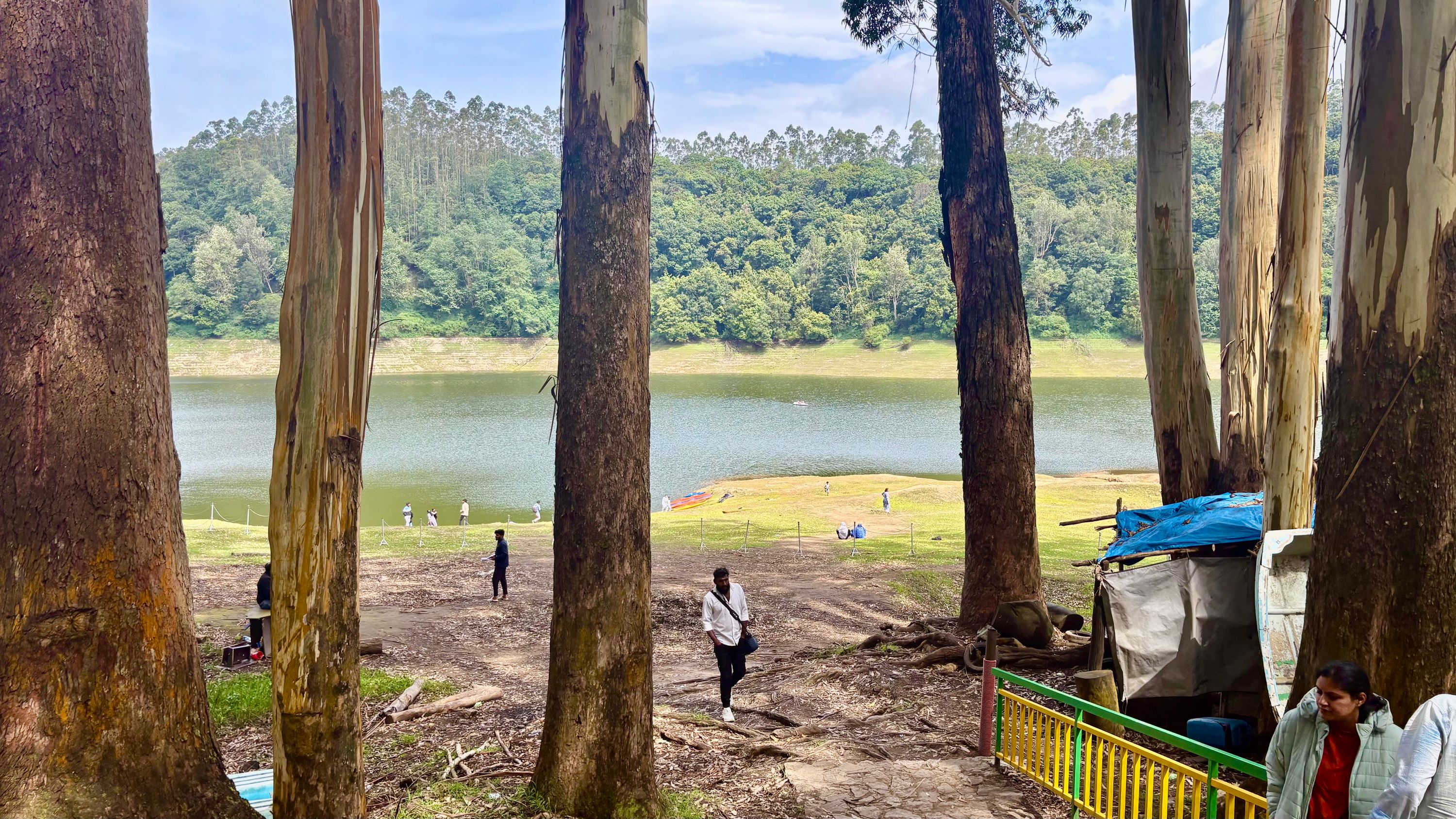 Kerala Honeymoon Package – Munnar, Thekkady & Alleppey Houseboat (5 Nights / 6 Days) from Bangalore in Kochi Airport / Ernakulam Railway Station