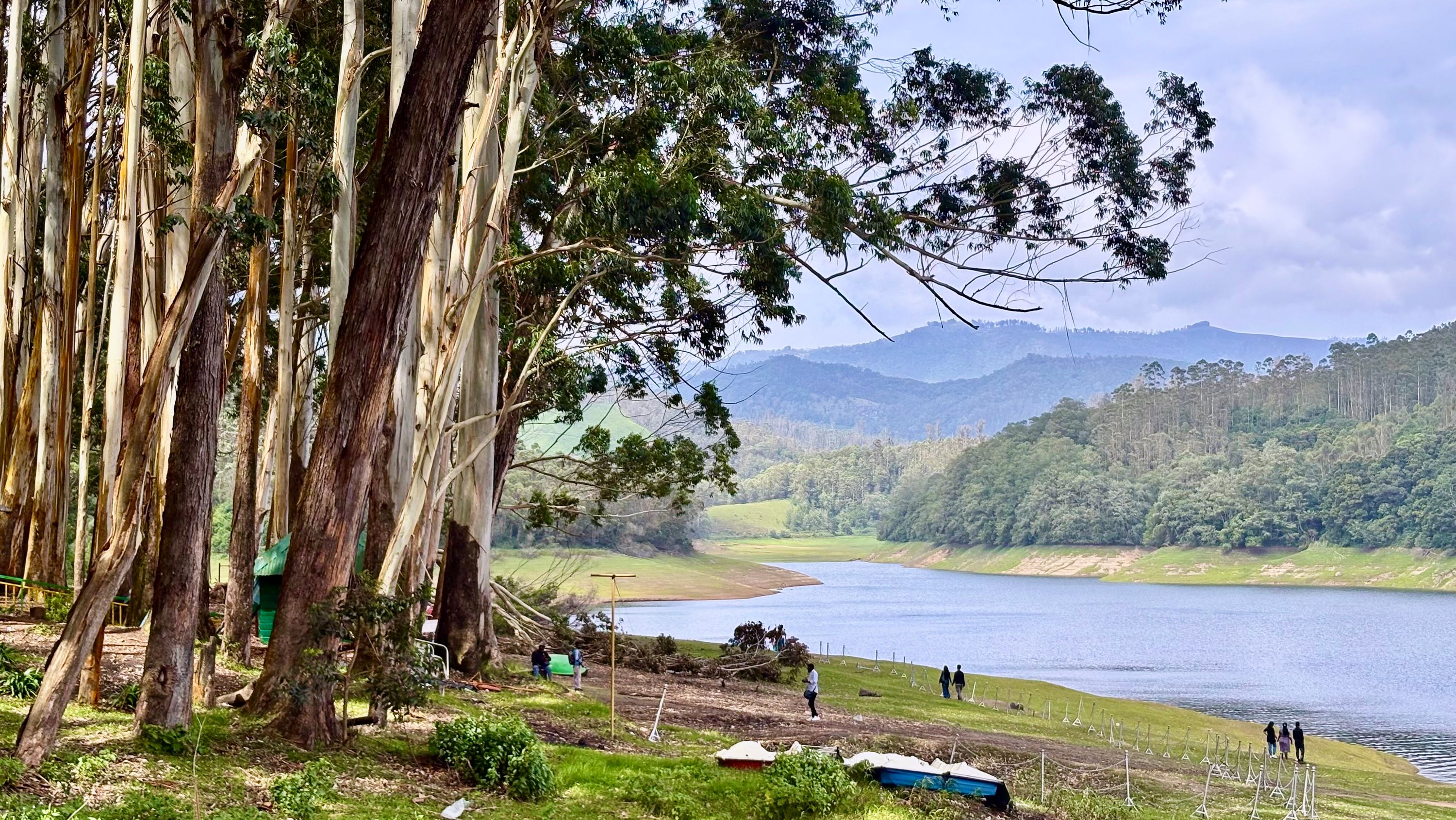 Munnar, Thekkady & Alleppey Houseboat Package (5 Nights / 6 Days) from Kochi in Kochi Airport / Ernakulam Railway Station