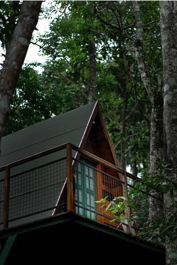 Private A frame Cottage at Forest A Cabin photo 7 of 14