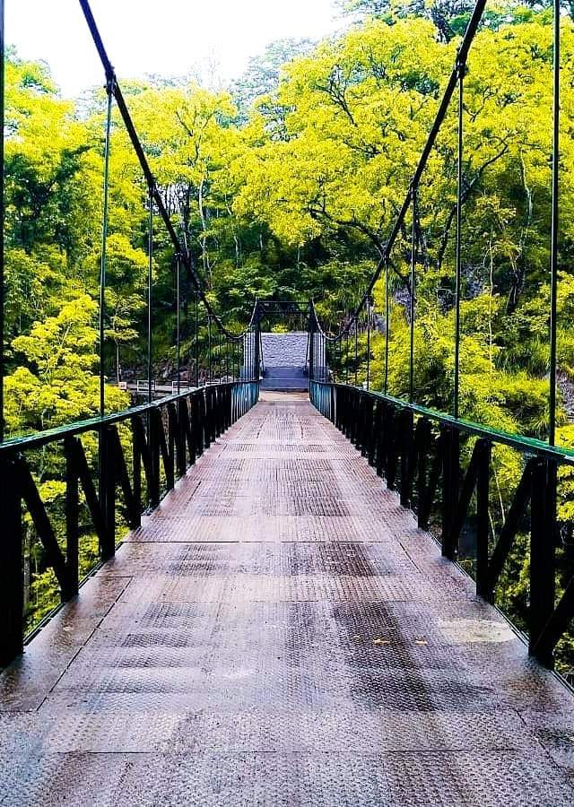 Ponmudi Hidden Spots in Munnar-Ponmudi