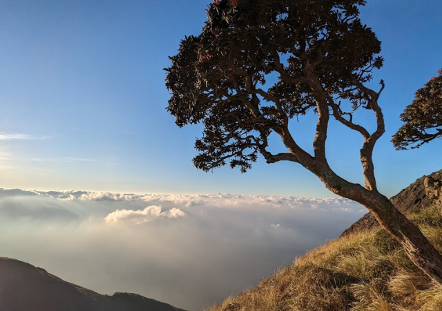 Chokramudi Sunrise Jeep Safari in Munnar - Gap Road