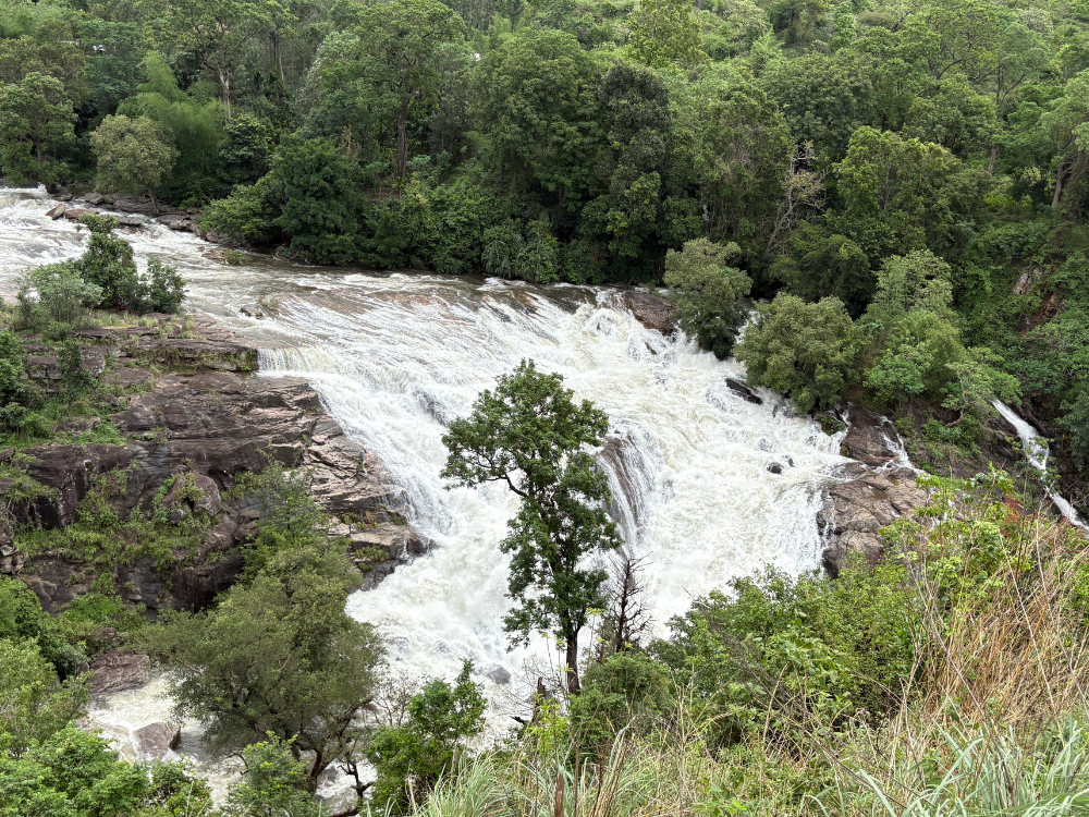 1 Night and 2 days Marayoor Package (Jeep ride and forest stay) in Marayoor, Kerala, India