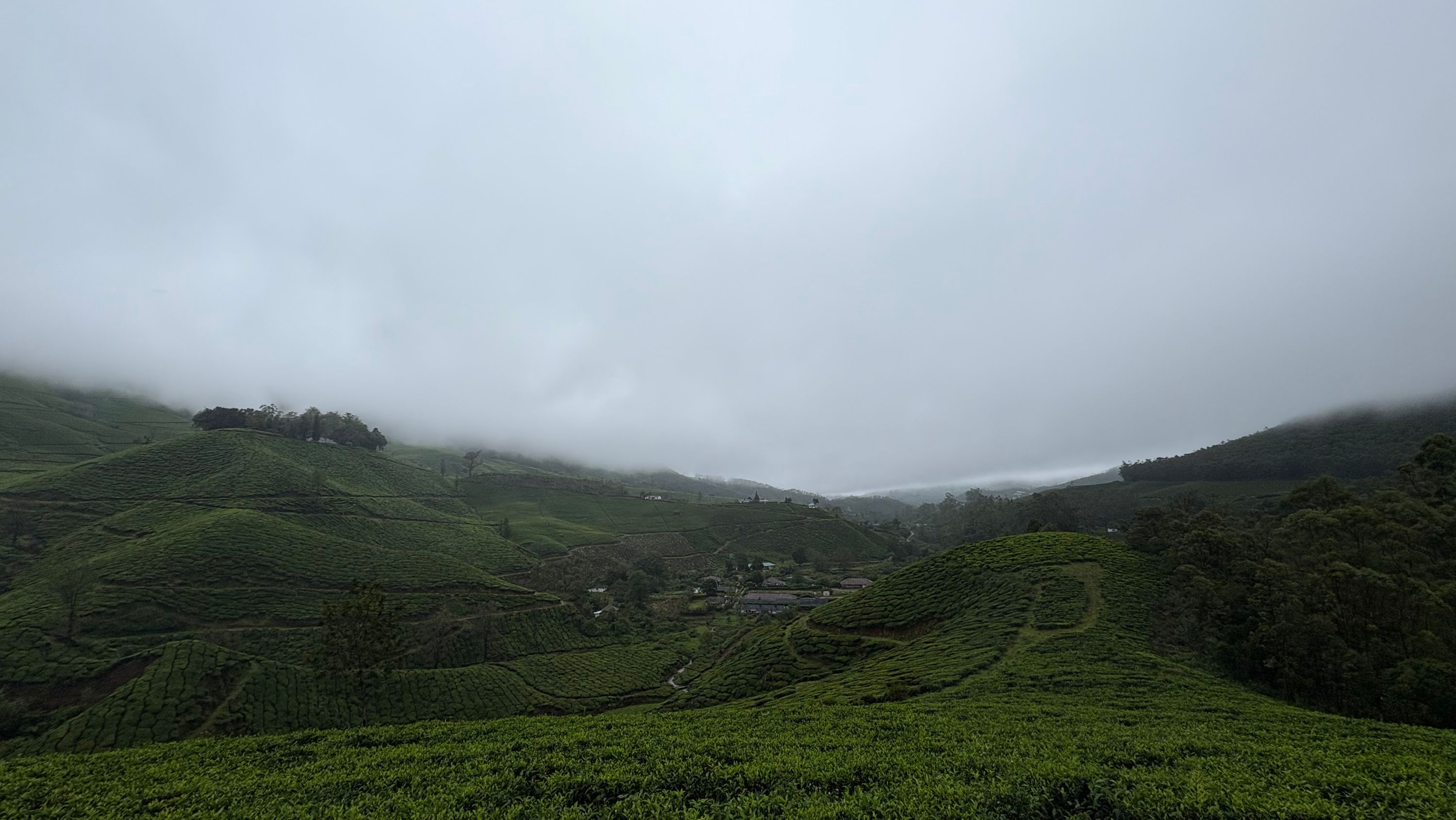 Ultimate Kerala Explorer Package (9 Nights / 10 Days) from Coimbatore in Kochi Airport / Ernakulam Railway Station