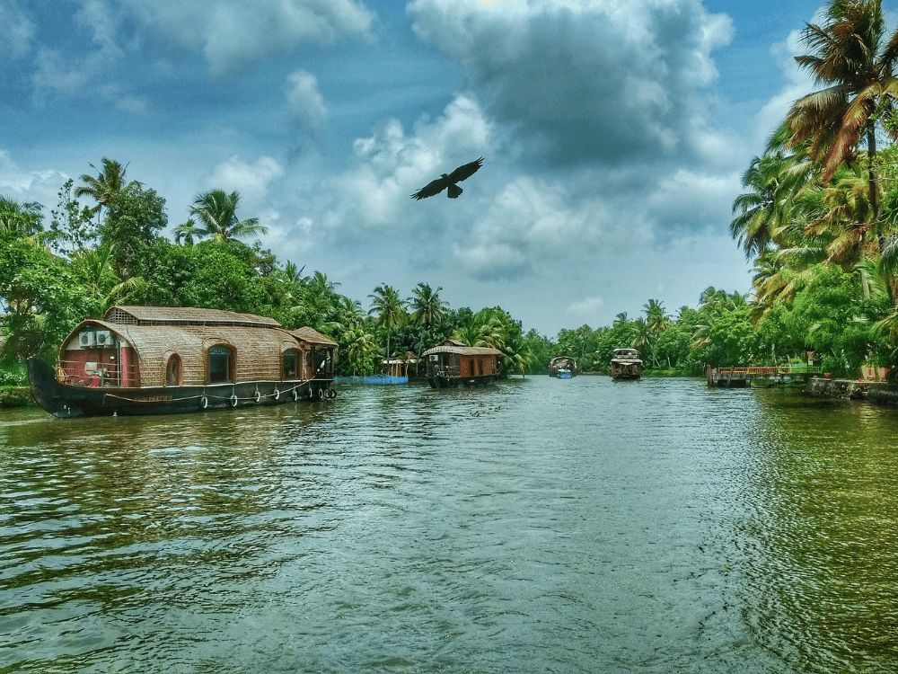 Kerala Monsoon Special Package (4 Nights / 5 Days) in Kochi Airport / Ernakulam Railway Station