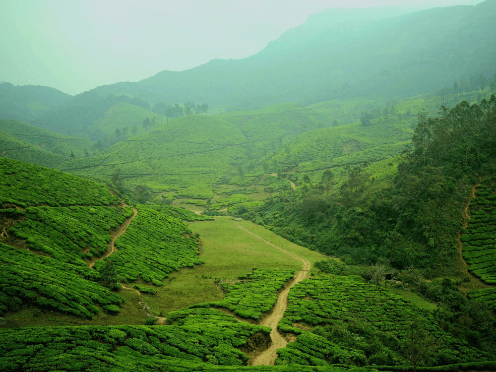 Munnar 3 Day & 2 night group package in Munnar Pallivasal