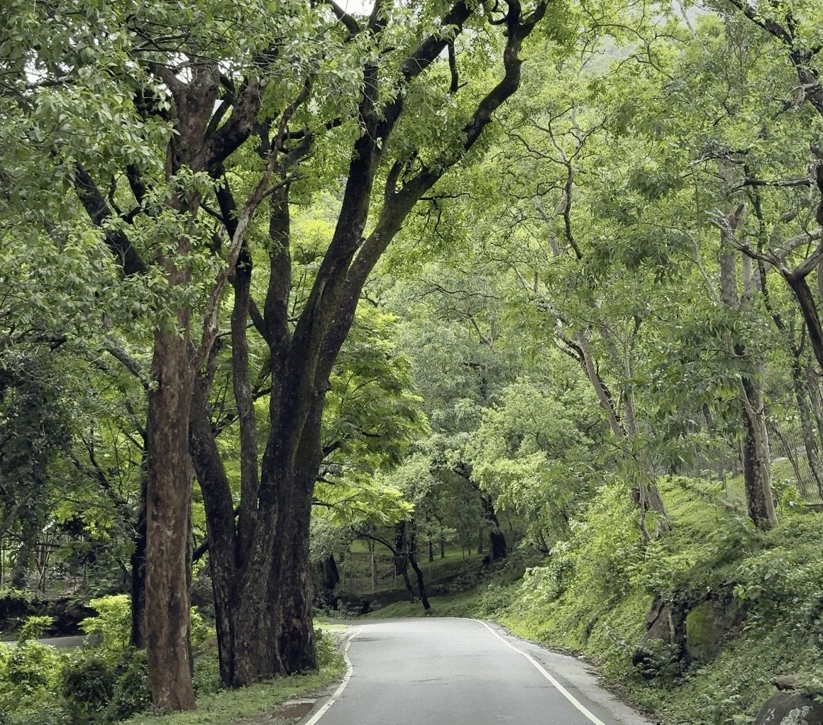 Kerala Group Tour Package (4 Nights / 5 Days) from Theni in Kochi Airport / Ernakulam Railway Station