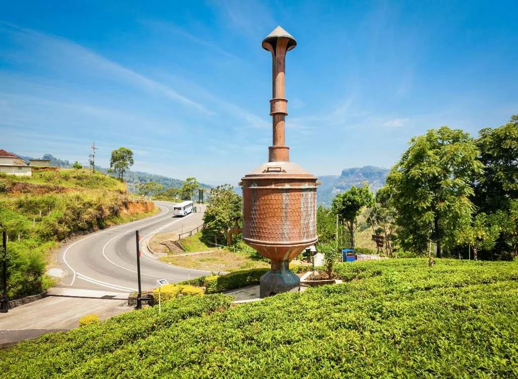 Kerala Grand Tour Package (7 Nights / 8 Days) from Kochi in Kochi Airport / Ernakulam Railway Station