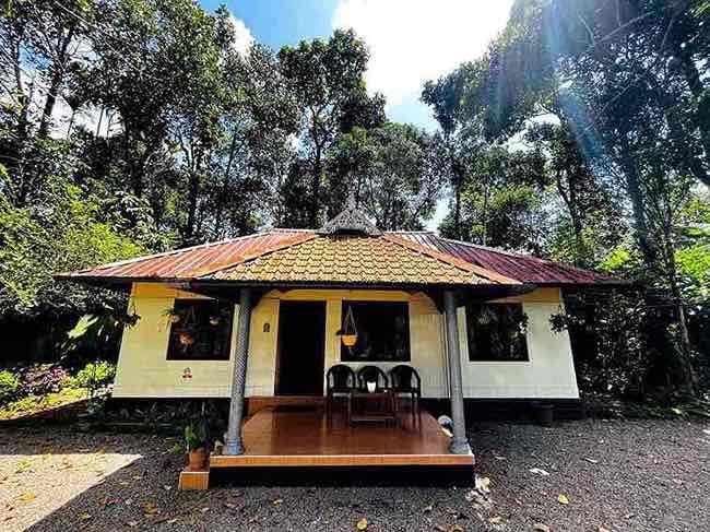 Ultimate Kerala Explorer Package (9 Nights / 10 Days) from Trichy in Kochi Airport / Ernakulam Railway Station